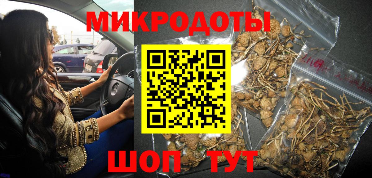 Галлюциногенные грибы ЛСД  где купить наркоту  Новоалександровск  Вход с VPN 